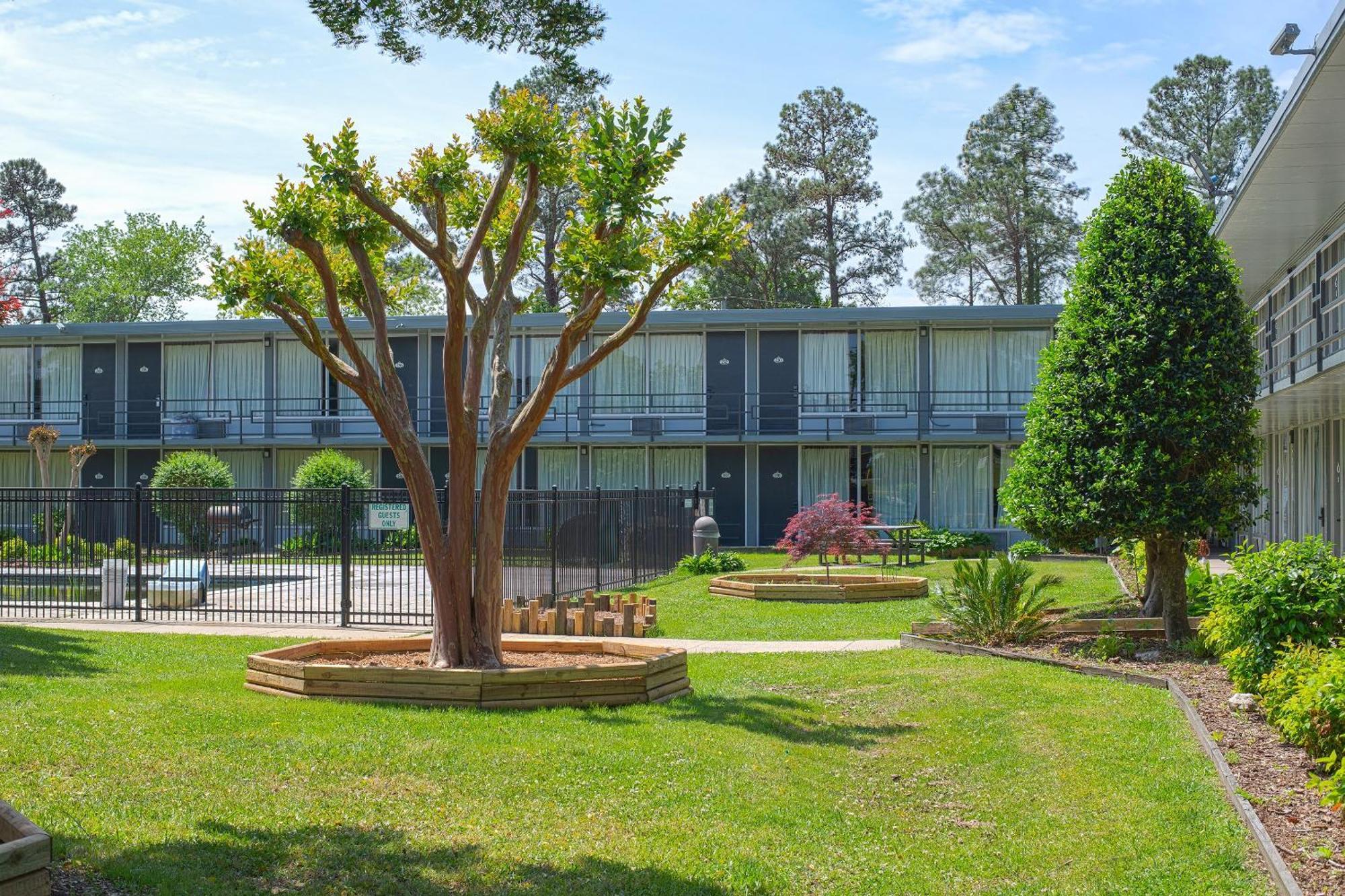 Masters Inn Selma Smithfield I-95 By Oyo Exteriör bild